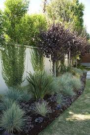 Drought Tolerant Landscape Path Ideas Easy Landscaping Backyard Landscaping Backyard Landscaping Designs