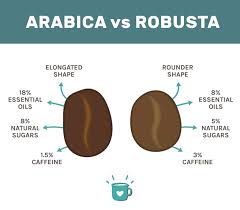 Best coffee in a can: Best Coffee Beans In The World And A Foolproof Tip For Choosing