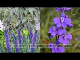 Leroy's flowers rapid city sd. Flowers By Leroy Florists The Knot