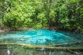 Outdoor ponds ponds backyard garden ponds koi ponds wooden garden gate gardening zones gardening tips organic gardening building a pond. Emerald Pool Sa Morakot Krabi Thailand Crystal Clear Blue Stock Photo Picture And Royalty Free Image Image 68875782