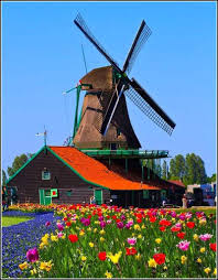 Qui dit pays bas dit horticulture: Pays Bas Moulin Balades Comtoises Vieux Moulins A Vent Le Moulin Moulin A Eau