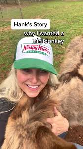 Hank the mini donkey. He will be 2 in May. ❤️ #fyp #foryou #donkey