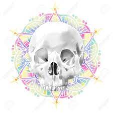 pin on yay skulls
