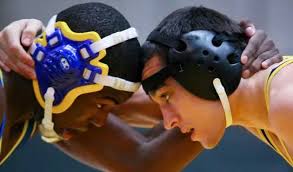 Huskies Defeat Bridgewater and Fall to AIC