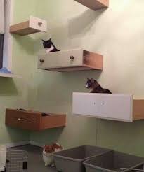 It can save your furniture, sanity and wallet. Cat Wall Shelves Diy Novocom Top