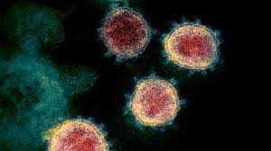 Coronavirus Sind Covid 19 Erkrankte Danach Immun Gesundheit Sz De