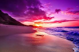 Jun 17, 2021 · a defined aesthetic will help you make important wedding planning decisions, like what color scheme to follow, how you decorate your ceremony and reception, and what the overall vibe of your day feels like. Cool Aesthetic Sunset Pink Beach Wallpaper Wallpaper