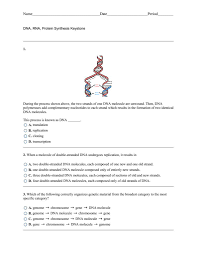 Dna replication results in two dna molecules, answer choices. Protein Synthesis In Dna Replication Dfoxsejiqawl