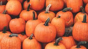 We did not find results for: Pumpkin Wallpapers Hd Desktop Backgrounds Images And Pictures