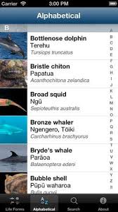 New Zealand Marine Life Application Just Released By Auckland Museum Will Be A Great Help When Trying To Identify Marine Cr Marine Life Life Application Marine