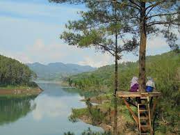 Namun, tahukah kamu jika tulungagung juga memiliki pesona danau yang tak kalah cantik? Lokasi Dan Harga Tiket Masuk Ranu Gumbolo Tulungagung Spot Wisata Danau Indah Yang Mempesona Daka Tour
