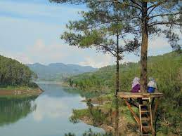 Ranu gumbolo tulungagung kumbolo semeru perjalanan ke biaya wisata gambar dimana misteri mdpl mahameru sunrise tanjakan cinta berapa pendakian rute mitos weather adalah caption 2021 di trip info itu open ranu kumbolo merupakan sumber air bersih bagi para pendaki dengan debit air melipah. Lokasi Dan Harga Tiket Masuk Ranu Gumbolo Tulungagung Spot Wisata Danau Indah Yang Mempesona Daka Tour