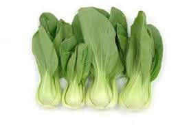 Chou De Chine Pak Choi Tai Sai Ab Chou De Chine Chou Pak Choi Design Culinaire