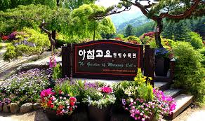 Pulau jeju yang terletak di pesisir pantai selatan tergolong ke dalam wilayah paling hangat dan paling basah di negeri korea. 21 Tempat Menarik Di Korea Popular Wajib Singgah Adamani Travel