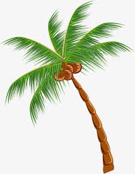 How to create an cartoon coconut tree using blender. Png Clipart Cocnut Tree Clip Art
