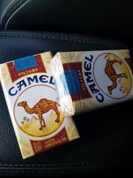 Winston filter tips went on sale in 1954. I Ve Smoked Camel Filters For Years And Never Came Across Soft Packs Until Today Cigarettes