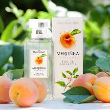 Image result for Apricot 1983 Hussmann
