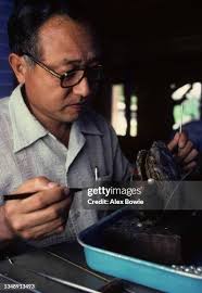 338 Cultured Pearls Stock Photos, High-Res Pictures, and Images