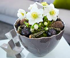 Alors j'aimerais savoir si certaines mariées ont eu. Votre Interieur Helleborus