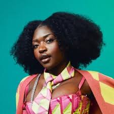 Flatbush Misdemeanors (@flatbushbabies)