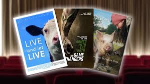 We wish you have great time on our my cactus heart. The 45 Vegan Documentaries You Have To Watch