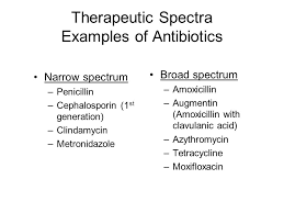 Antibiotic Chemotherapy For Oral Maxillofacial Surgery Ppt Video Online Download