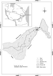 Image result for Courtoisina assimilis