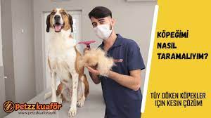 kopek tuy tarama kopegimi nasil taramaliyim youtube