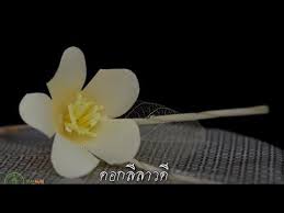 สอน การทำดอกไม จ นทน ดอกล ลาวด youtube
