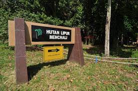 Penebangan hutan di malaysia di malaysia, aktiviti penebangan hutan boleh dibahagikan kepada dua era iaitu sebanyak 19.663 juta hektar. Hutan Lipur Negeri Pahang Forestry Department Peninsular Malaysia