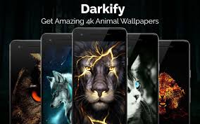 ❉ black/dark/amoled wallpapers do save battery a lot. Black Wallpaper Amoled Dark Background Darkify For Android Apk Download