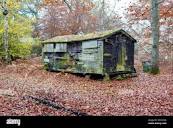 Old shack in woods hi-res stock photography and images - Alamy