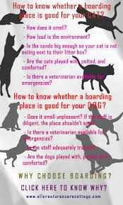 Boarding your dog in costa mesa, ca will cost an average of $14.50 per hour as of november 2020. When You Must Be Away From Home And Cannot Take Your Pet You Can Have Peace Of Mind With Quality Dog And Cat Boarding At Al Cat Boarding Pet Boarding Your
