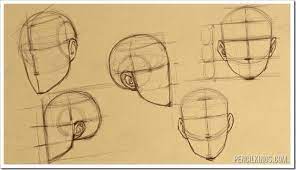 Proportion and the human face. How To Draw Heads For Perfect Face Proportions