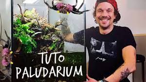 Tuto Paludarium Un Paradis Pour Mes Crabes Vampires Toopet Youtube