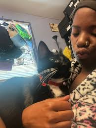 Um...suet is disappearing fast, I wonder what... One of our two very round  and jolly Gray Squirrels. BHeadley photo 12/22/18 Swanville