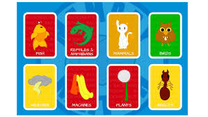 Maybe you would like to learn more about one of these? Memory Match Everyday Learning Pbs Learningmedia
