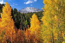 The city of aspen is the home rule municipality that is the county seat and the most populous municipality of pitkin county, colorado, united states. Top Fall Aspen Tree Hikes Visit Colorado Springs