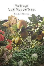 Pohon apel, persik, plum dan pir semuanya tumbuh dengan baik dalam. Buku Budidaya Buah Buahan Tropis Penerbit Deepublish