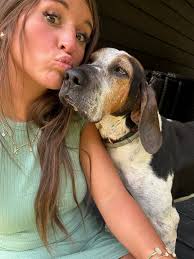 Missing Dog in Logan County West Virginia