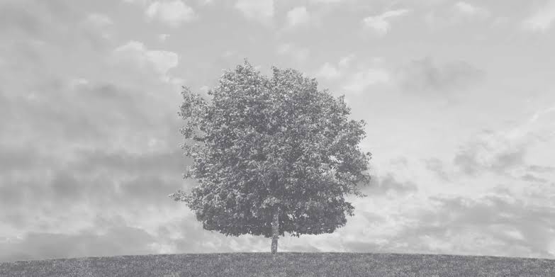The Power of Simplicity in Financial and Investment Planning - Dorset Wealth