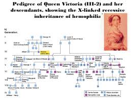 are there different types of genealogy pedigree chart