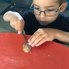 Diana Conner Nutrition