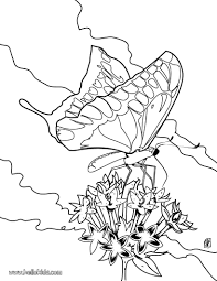Go Green And Color Online This Colorful Butterfly Coloring Page Beautiful Coloring Sheet About Na Butterfly Coloring Page Flower Coloring Pages Coloring Pages