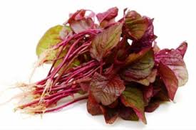 Jun 01, 2021 · sayur kunci bayam ani dita @anidita. Ini 7 Manfaat Bayam Merah Dari Mata Ginjal Hingga Kanker Lifestyle Bisnis Com
