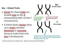 Our alleles and genes video also points out that many traits are influenced by more than one gene, and the order alleles are written in for the child don't correspond to a specific parent. Amoeba Sisters Alleles And Genes Worksheet Yr 11 Topic 4 Genes And Inheritance Amazing World Of Science With Mr Green Science Comics Gifs Resources A