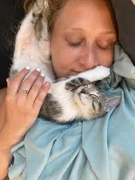 Fenix settles into forever home