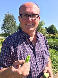 ALL- AMERICA SELECTIONS