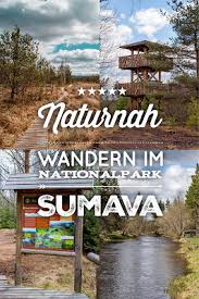Rundweg Im Saumermoor Soumarske Raseliniste Mit Bildern Nationalpark Reisen Urlaub Bayern