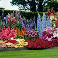 Rainbow Flower Garden Idea Garden Flowers Perennials Perennial Garden Design Beautiful Flowers